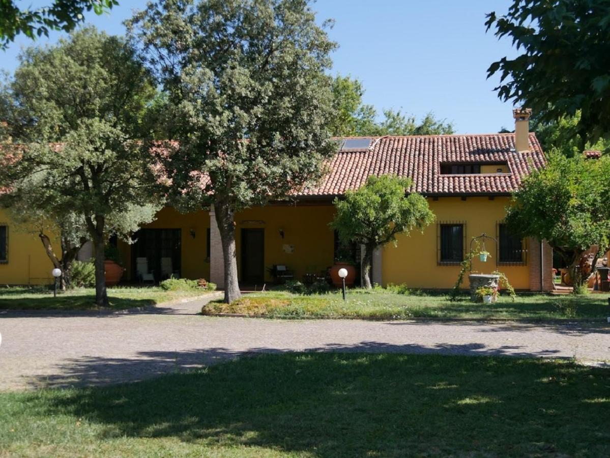 B&B La Vigna Di Federico Рубано Номер фото